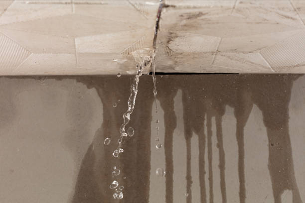 Professional Structural Drying technician working in Como, CO